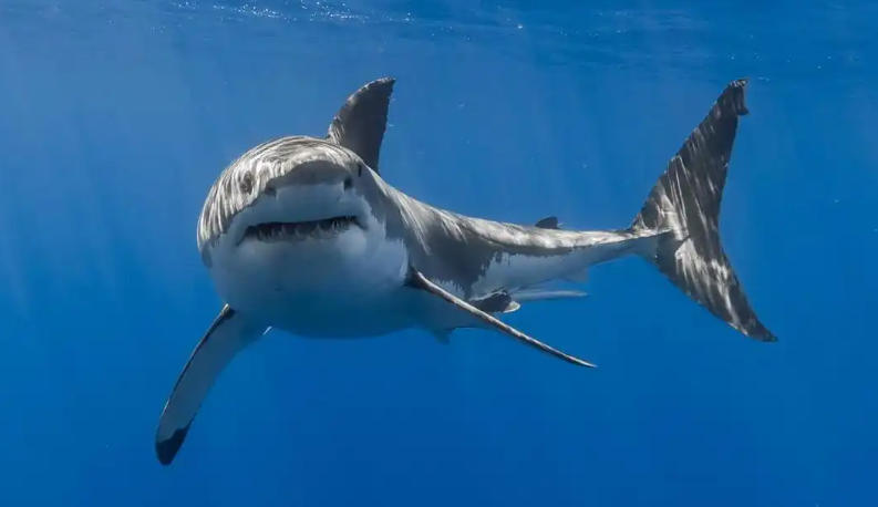 云南昆明水烟筒厂轮播图3