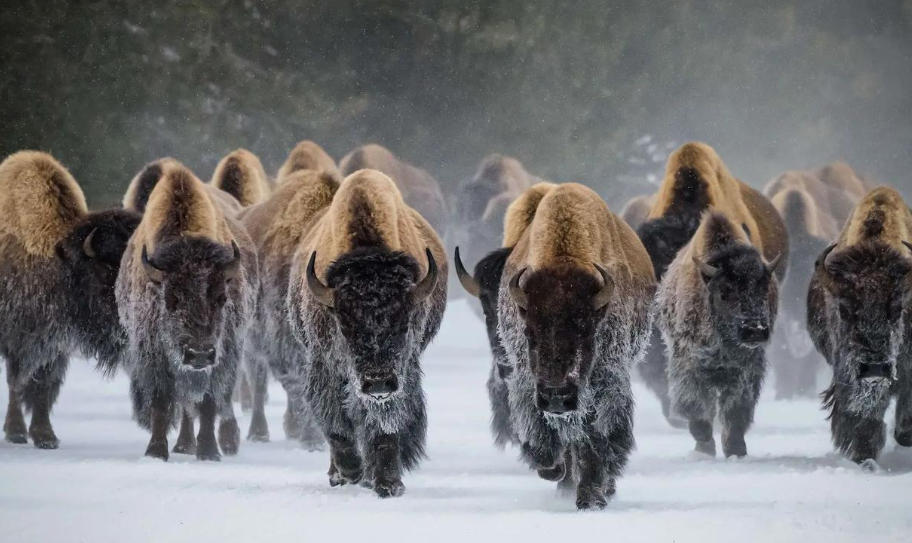 云南昆明水烟筒厂轮播图3